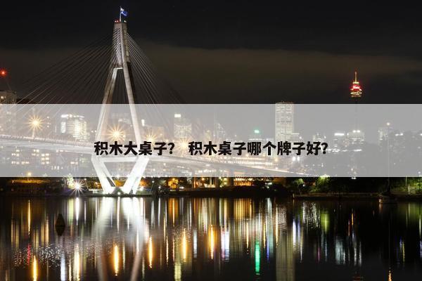 积木大桌子？ 积木桌子哪个牌子好？