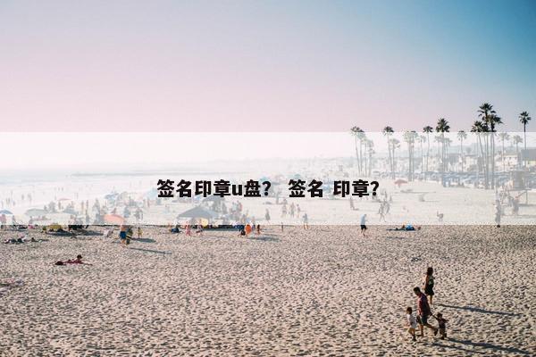 签名印章u盘？ 签名 印章？