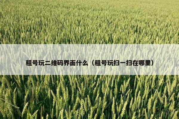 租号玩二维码界面什么（租号玩扫一扫在哪里）