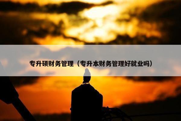 专升硕财务管理（专升本财务管理好就业吗）