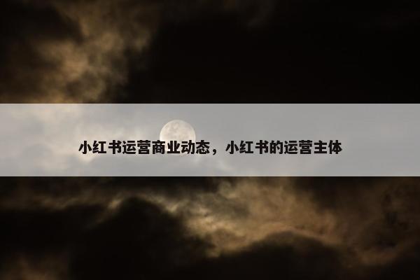 小红书运营商业动态，小红书的运营主体