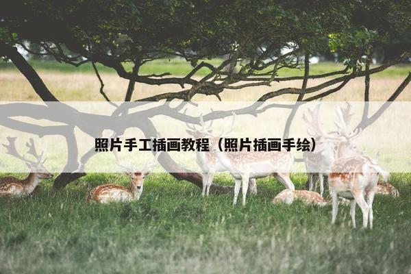 照片手工插画教程（照片插画手绘）