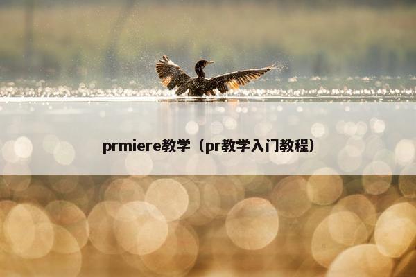 prmiere教学（pr教学入门教程）