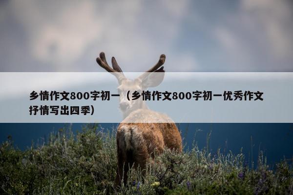 乡情作文800字初一（乡情作文800字初一优秀作文抒情写出四季）