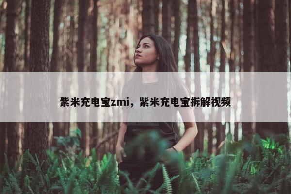 紫米充电宝zmi，紫米充电宝拆解视频