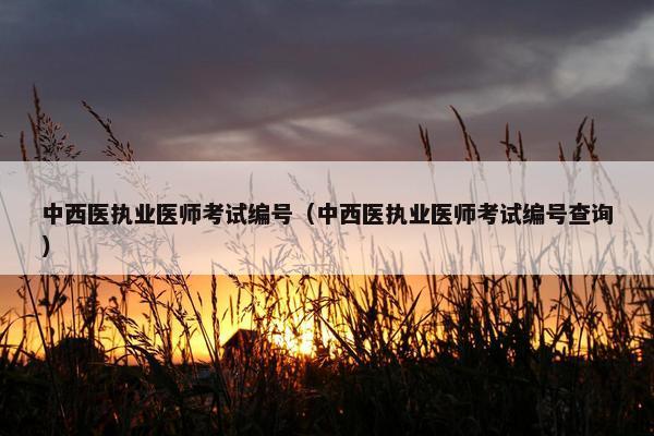中西医执业医师考试编号（中西医执业医师考试编号查询）