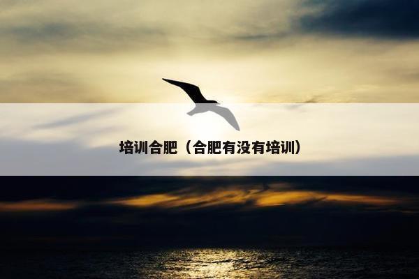 培训合肥（合肥有没有培训）