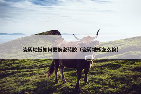 瓷砖地板如何更换瓷砖胶（瓷砖地板怎么换）