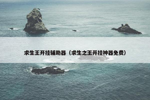 求生王开挂辅助器（求生之王开挂神器免费）