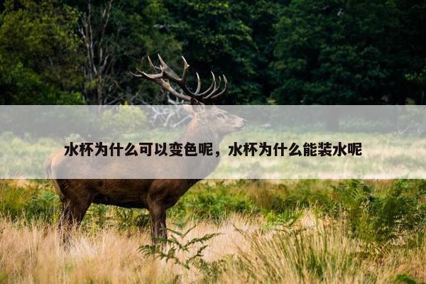 水杯为什么可以变色呢，水杯为什么能装水呢