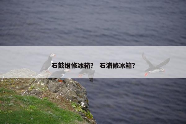 石鼓维修冰箱？ 石浦修冰箱？