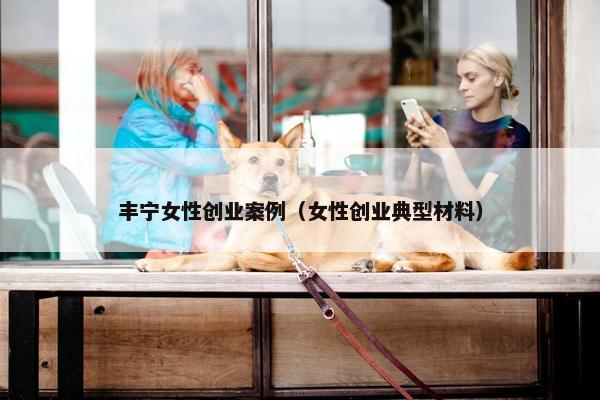 丰宁女性创业案例（女性创业典型材料）