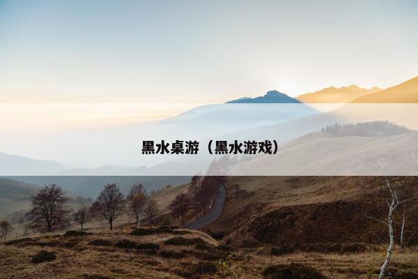 黑水桌游（黑水游戏）