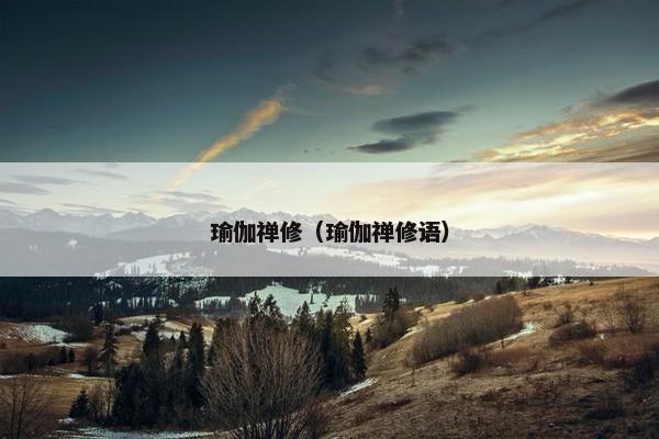 瑜伽禅修（瑜伽禅修语）