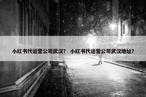 小红书代运营公司武汉？ 小红书代运营公司武汉地址？
