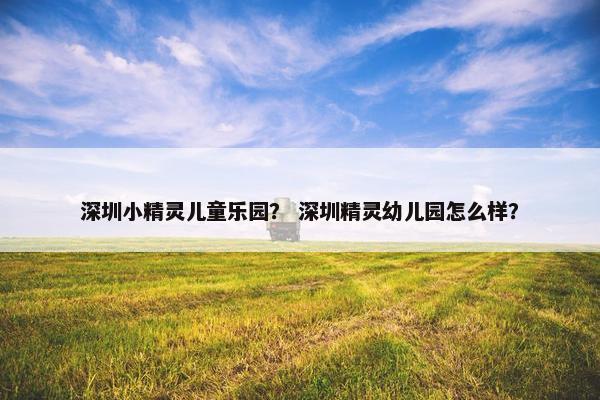 深圳小精灵儿童乐园？ 深圳精灵幼儿园怎么样？