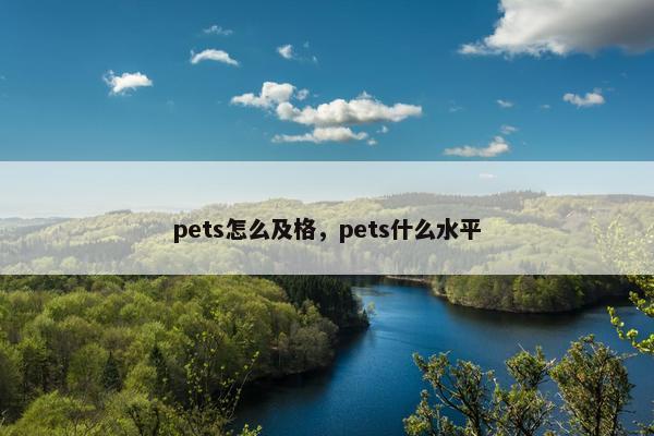 pets怎么及格，pets什么水平