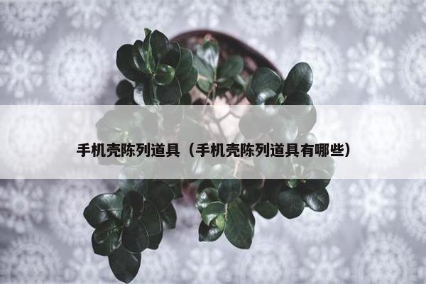 手机壳陈列道具（手机壳陈列道具有哪些）