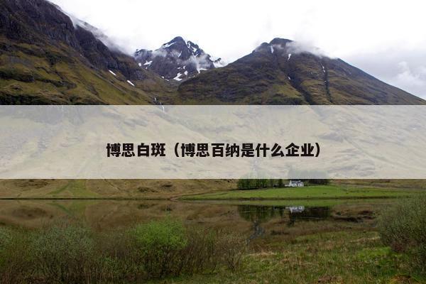 博思白斑（博思百纳是什么企业）