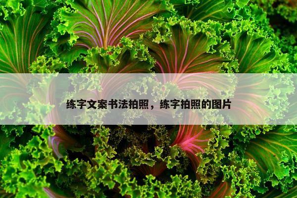 练字文案书法拍照，练字拍照的图片
