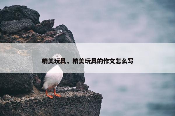精美玩具，精美玩具的作文怎么写