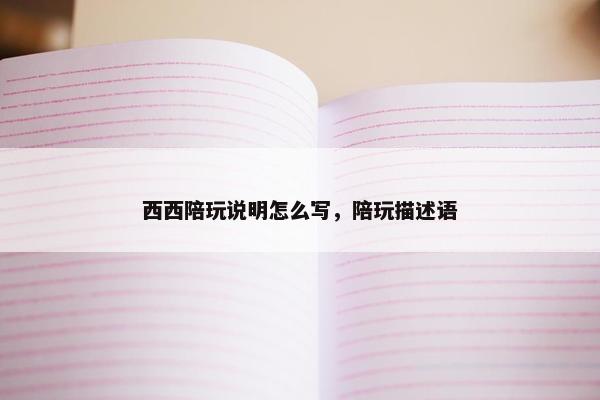 西西陪玩说明怎么写，陪玩描述语