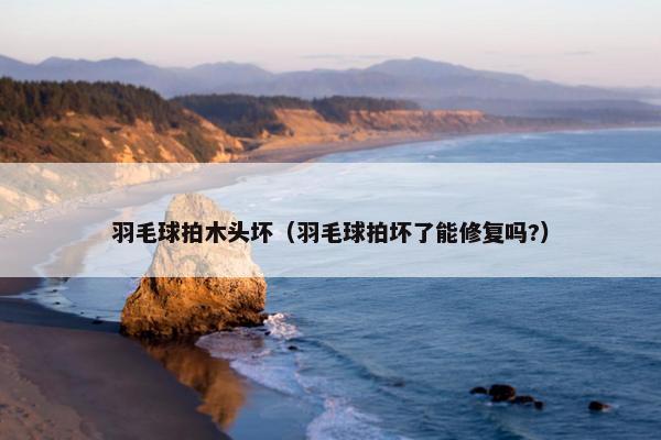 羽毛球拍木头坏（羽毛球拍坏了能修复吗?）