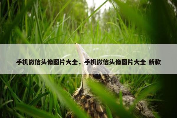手机微信头像图片大全，手机微信头像图片大全 新款