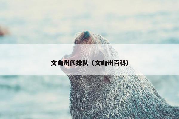 文山州代排队（文山州百科）
