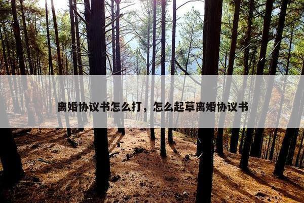 离婚协议书怎么打，怎么起草离婚协议书
