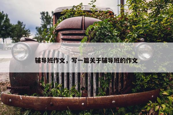辅导班作文，写一篇关于辅导班的作文