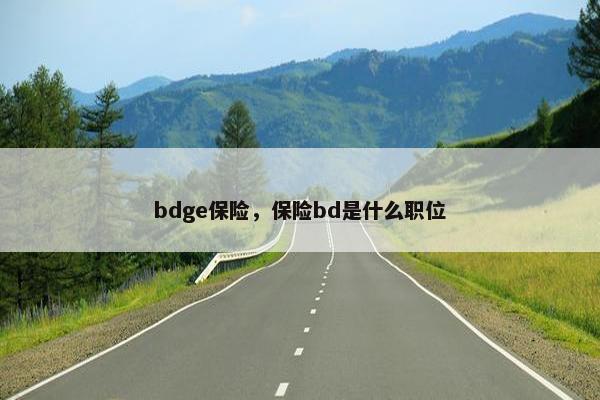 bdge保险，保险bd是什么职位