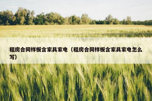 租房合同样板含家具家电（租房合同样板含家具家电怎么写）