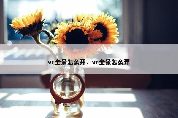 vr全景怎么开，vr全景怎么弄