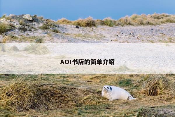 AOI书店的简单介绍