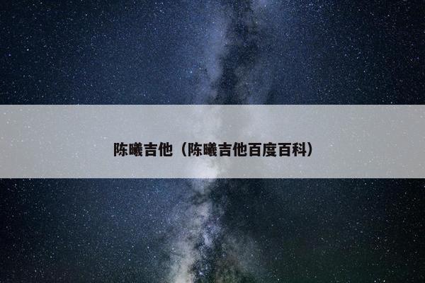 陈曦吉他（陈曦吉他百度百科）