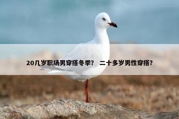 20几岁职场男穿搭冬季？ 二十多岁男性穿搭？