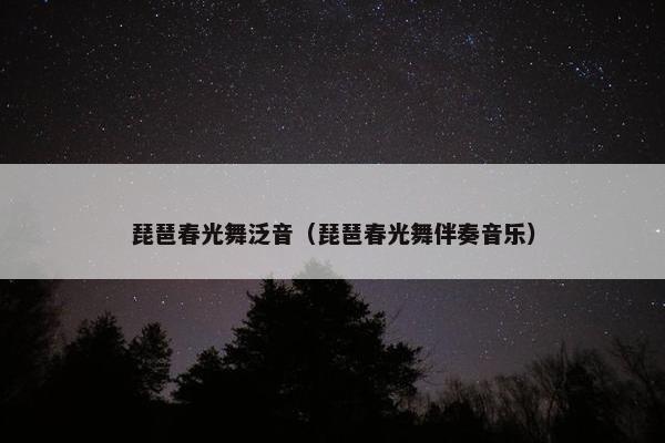 琵琶春光舞泛音（琵琶春光舞伴奏音乐）