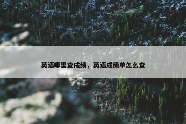英语哪里查成绩，英语成绩单怎么查