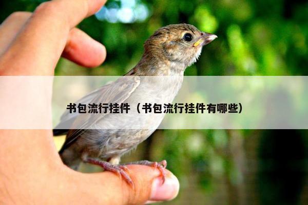 书包流行挂件（书包流行挂件有哪些）