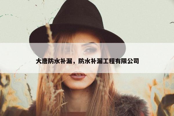 大唐防水补漏，防水补漏工程有限公司