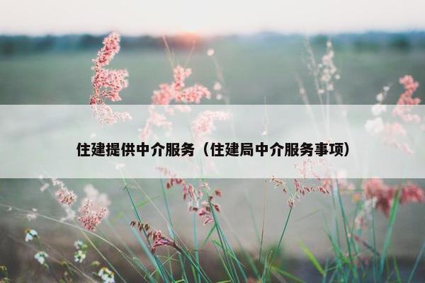 住建提供中介服务（住建局中介服务事项）