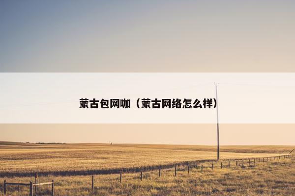 蒙古包网咖（蒙古网络怎么样）