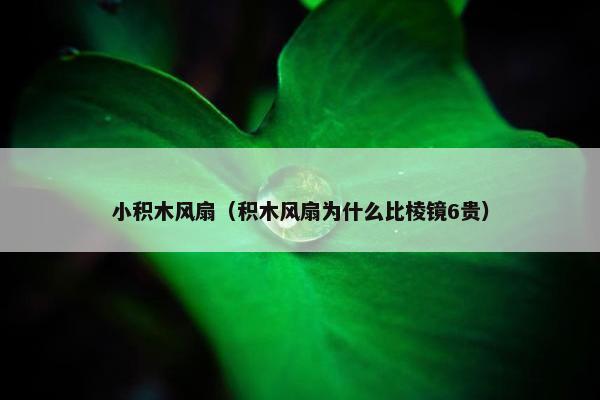 小积木风扇（积木风扇为什么比棱镜6贵）