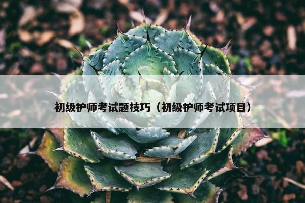 初级护师考试题技巧（初级护师考试项目）