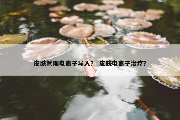 皮肤管理电离子导入？ 皮肤电离子治疗？