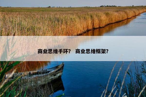 商业思维手环？ 商业思维框架？