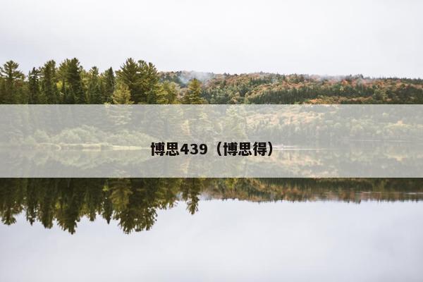 博思439（博思得）