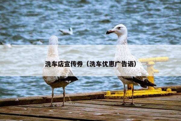 洗车店宣传券（洗车优惠广告语）
