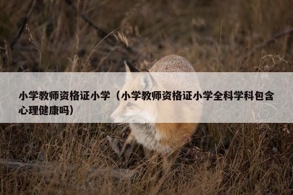 小学教师资格证小学（小学教师资格证小学全科学科包含心理健康吗）